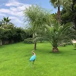 Jonica ガリポリ