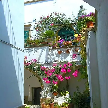 Jonica Bed & Breakfast 3*